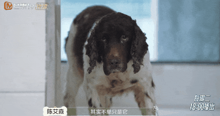 10分钟看哭7次！当他们不再“有用”的时候，却也无法正常生活