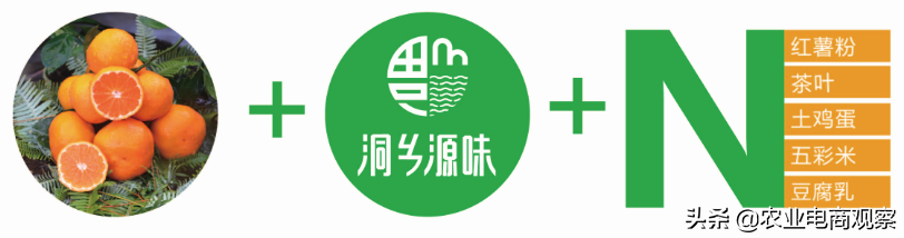 如何从0至1打造县域农产品区域公用品牌——记湖南洞口县案例