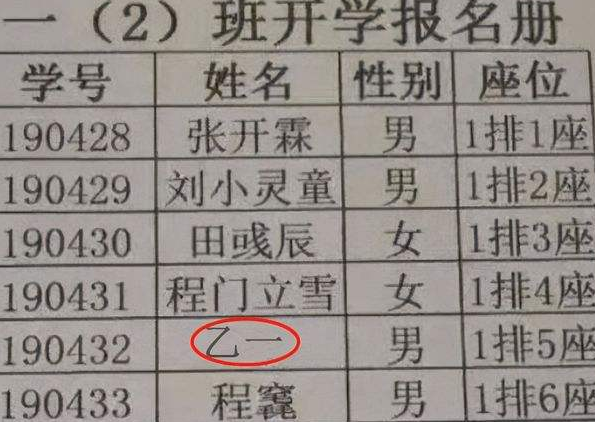 小学生因姓名“简单”火了，简单得让人难以相信，连名带姓才2笔