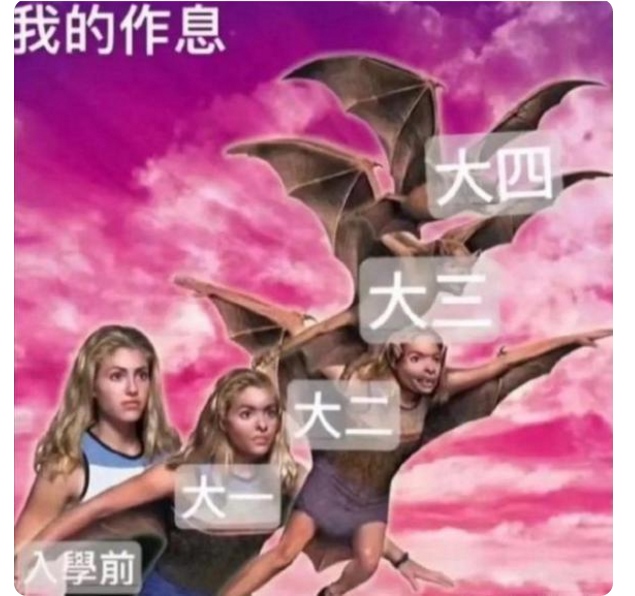 大学生搞笑吐槽大学4年划水经历，能力呈现倒退，也太虚度光阴了