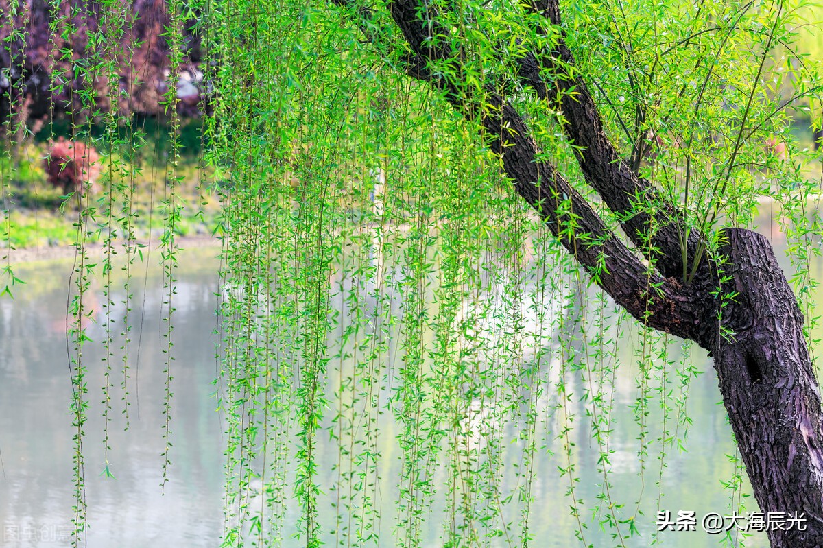 睡意朦胧中,忽然听到有滴答声在急促地敲打着窗台.是下雨了么?