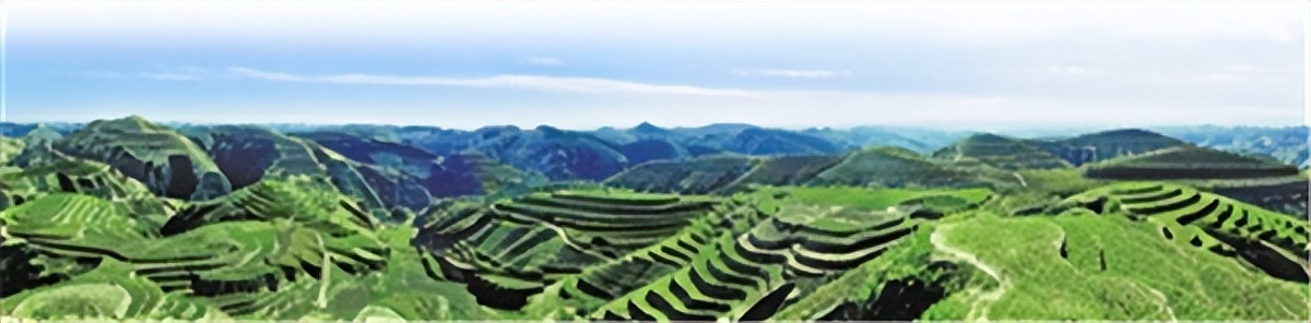 辛巴贡献直播电商社会责任优秀案例，黄土高原上三代人的绿色接力