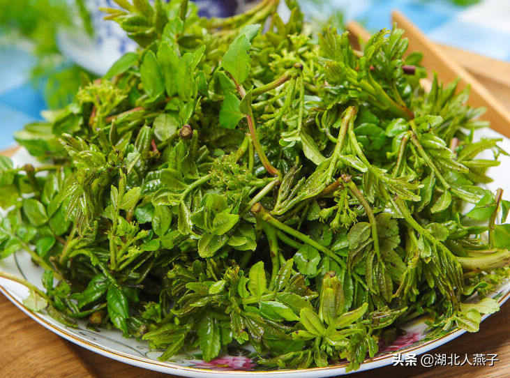 立春挖野菜,送你49種野菜圖片,教你輕鬆識別各種野菜,記得收藏