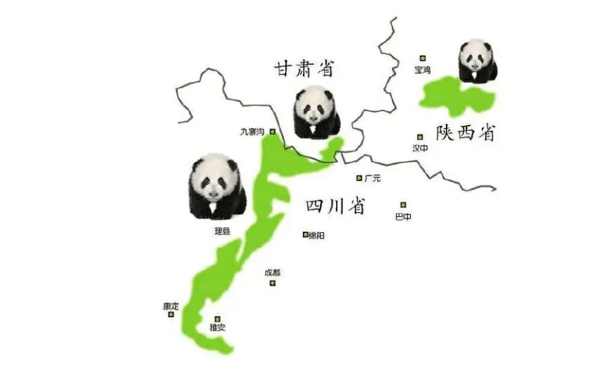 大熊猫生活在什么地方？一文读懂大熊猫分布区域-第21张图片