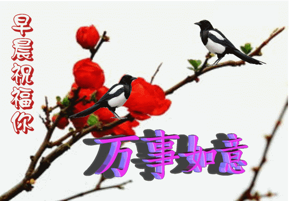 微信新版漂亮的早上好图片集锦 愿你眼中有光，活成你想要的样子图片