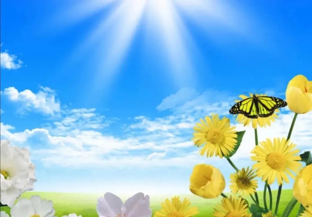 表达的是什么意境?