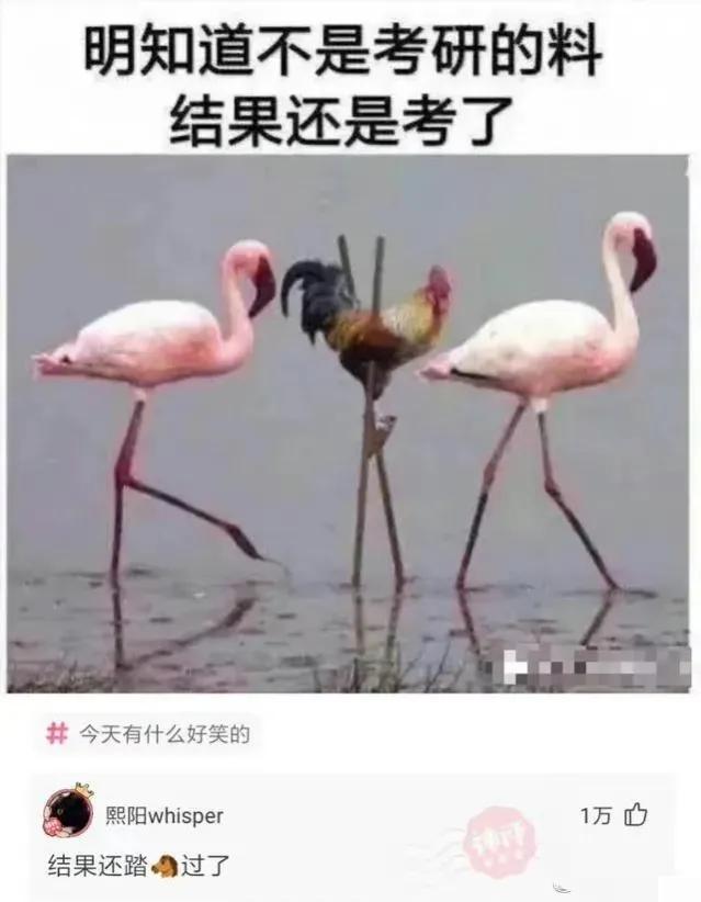 沙雕网友日常：玩王者荣耀么？你负责一打五，我负责全图浪
