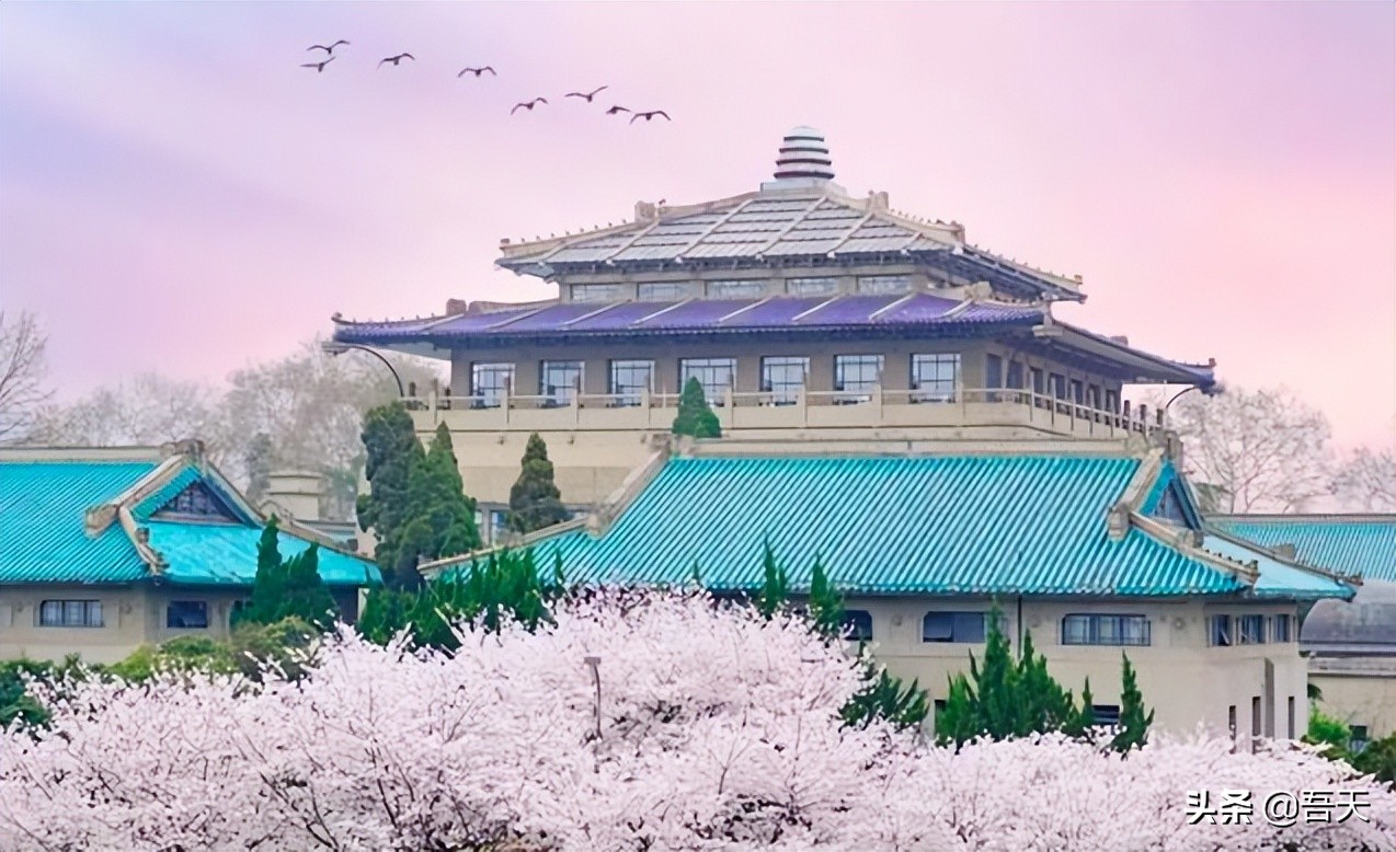 2022中国大学综合实力30强：南大排第7，华科第6，武大排第5