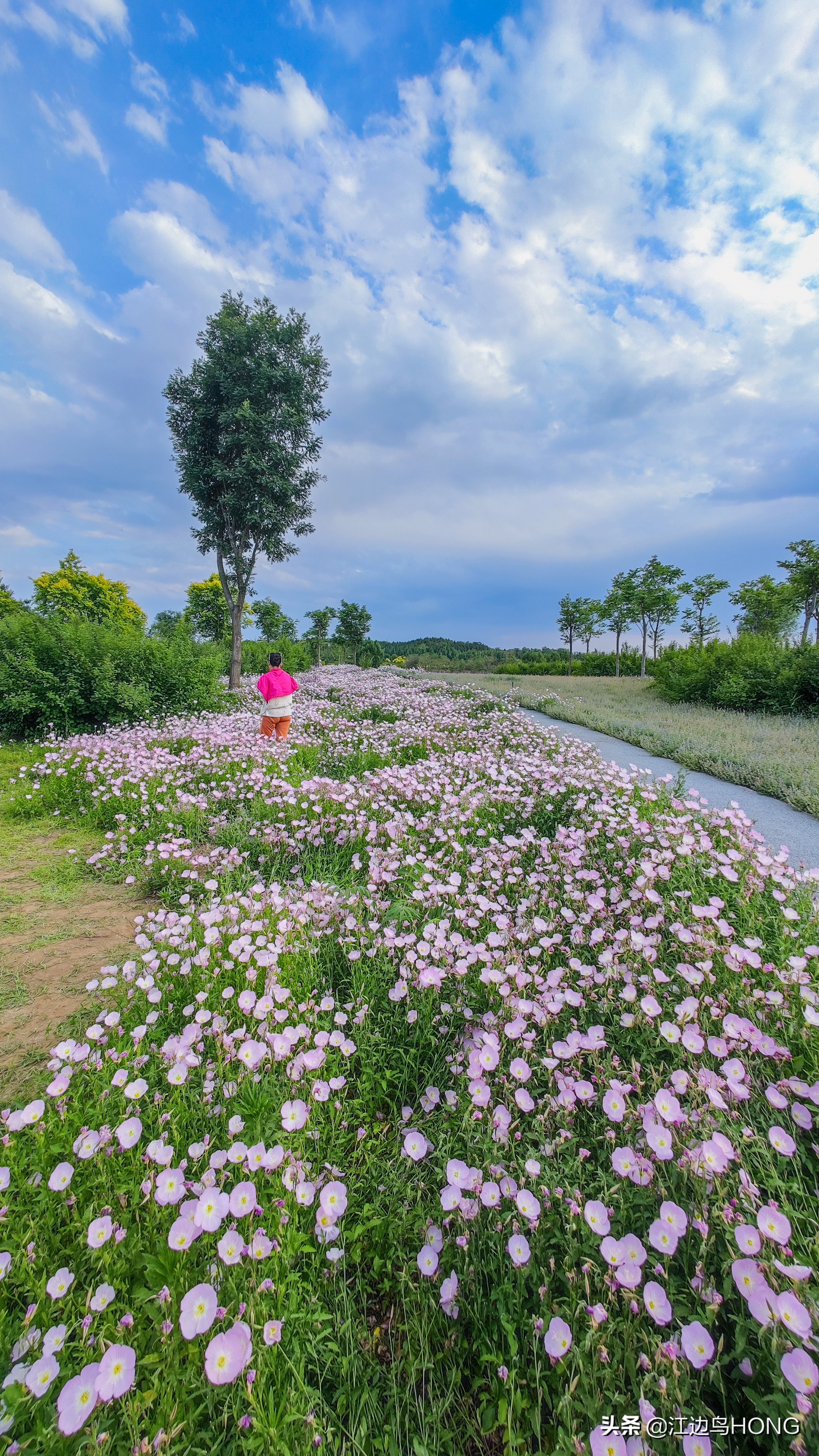 小米11 Ultra超广角的震撼（大片多图）