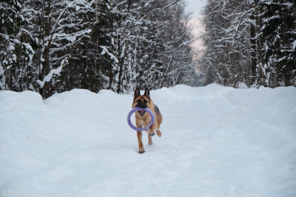 如何能让文章的题目更吸引人注意？让你写出爆款