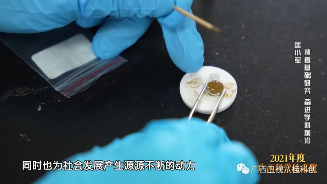 【2022年广西科学技术奖科普专题片】匡小军：执着基础研究 奋进学科前沿