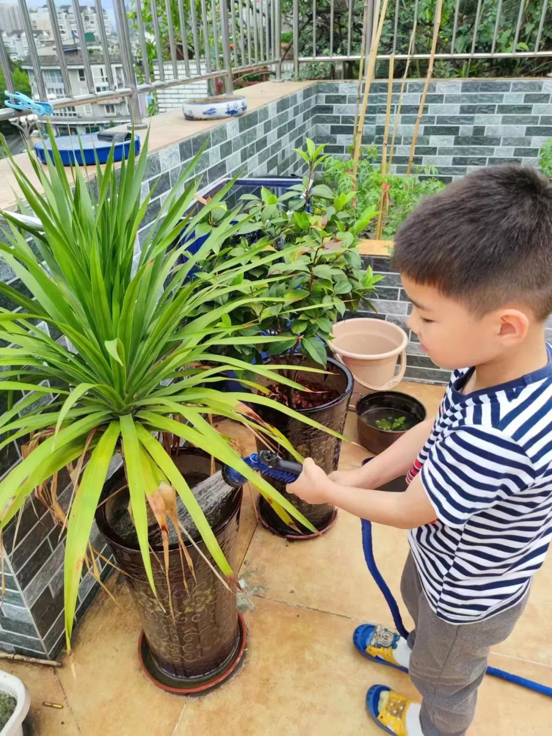 南湖小学一年级结合学生实际情况开展丰富多彩的劳动教育实践活动
