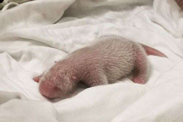 北大专业“六代单传”，一人请假全院休息，毕业合影只有1名学生