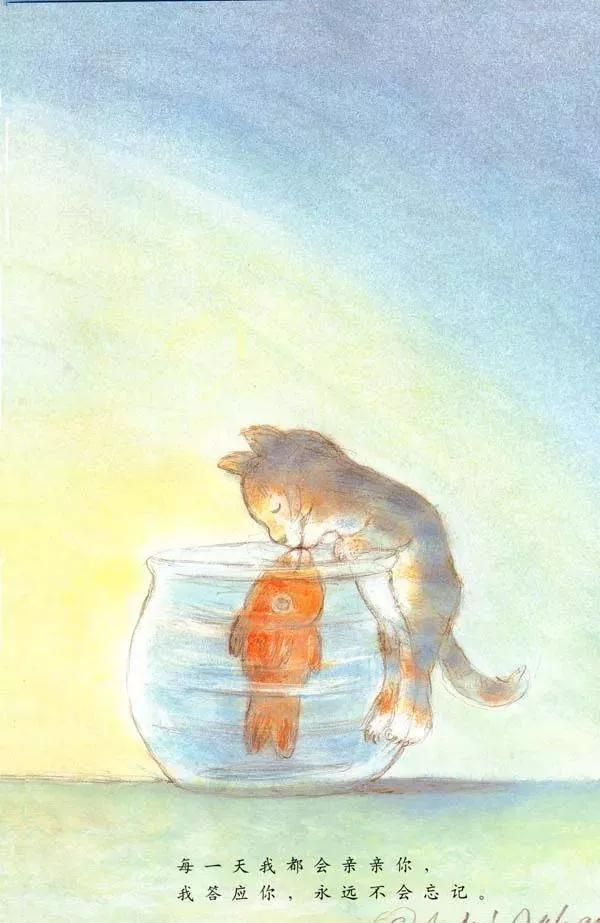 看图写话鱼缸猫图片