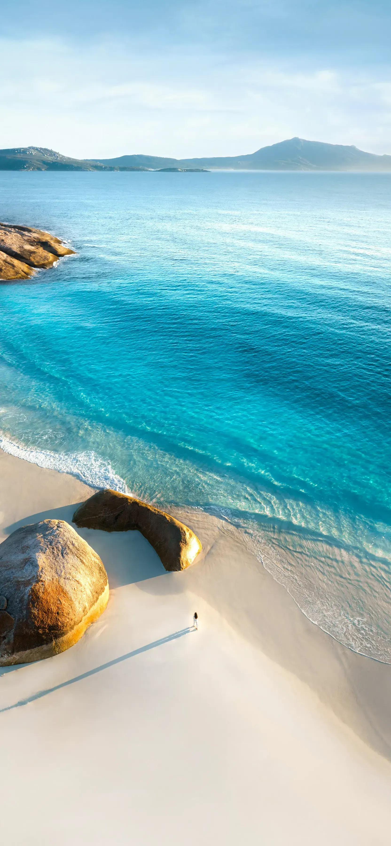 高清手機桌面第46期 天天看點