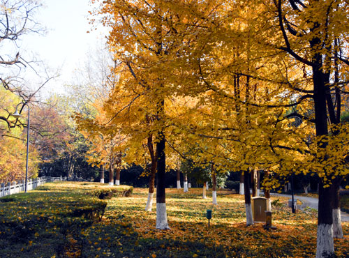 浙江旅游：感受南孔圣地衢州有礼的城市魅力（图）