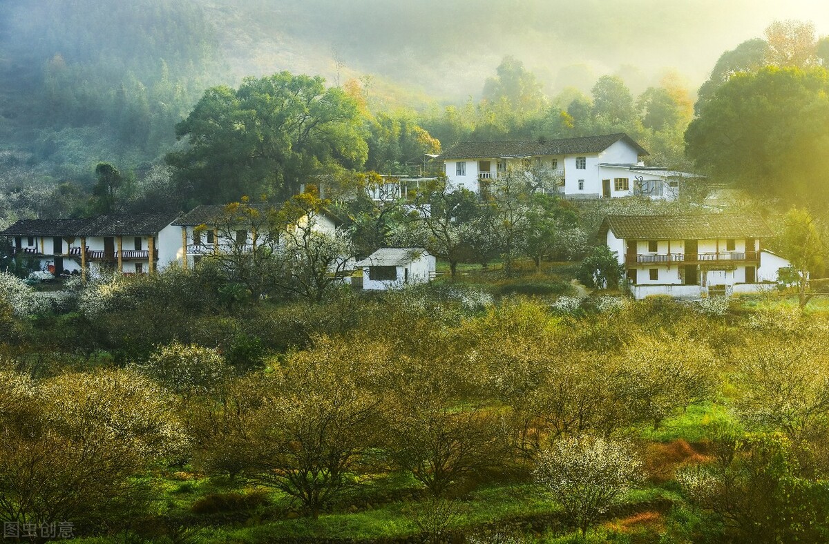 中国大学生英语口语中不定式和动名词述补行为的多因素分析