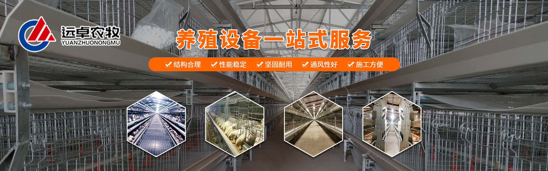 怎么讓蛋雞安全度夏，蛋雞夏季怎么防暑 。鄭州遠卓農(nóng)牧