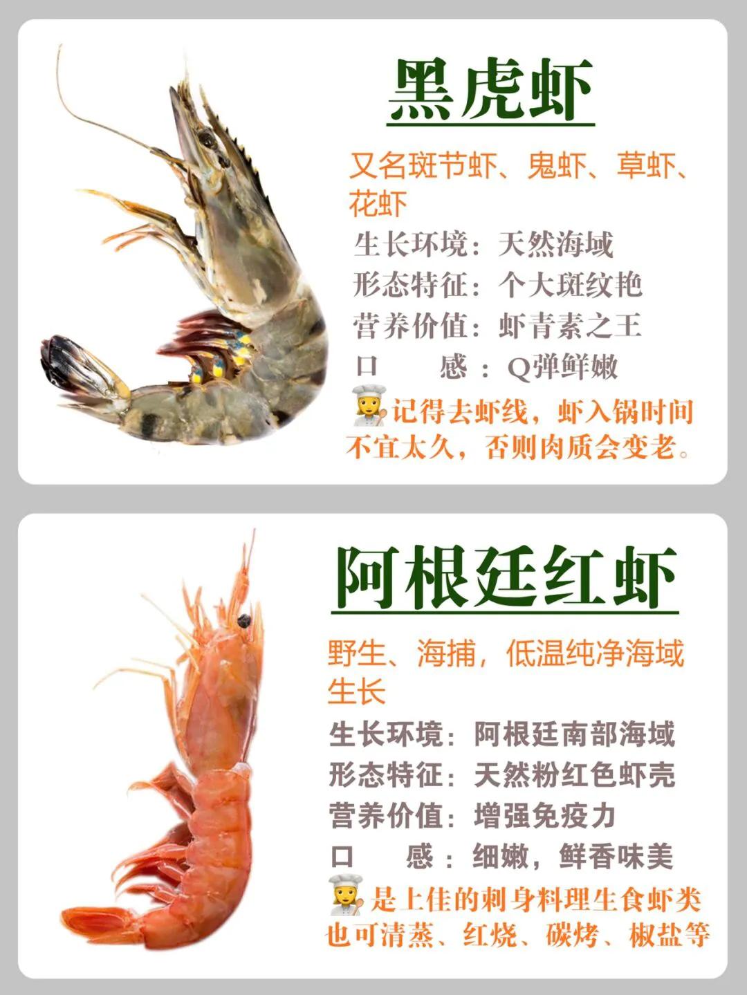 常见虾的区别和营养价值及做法