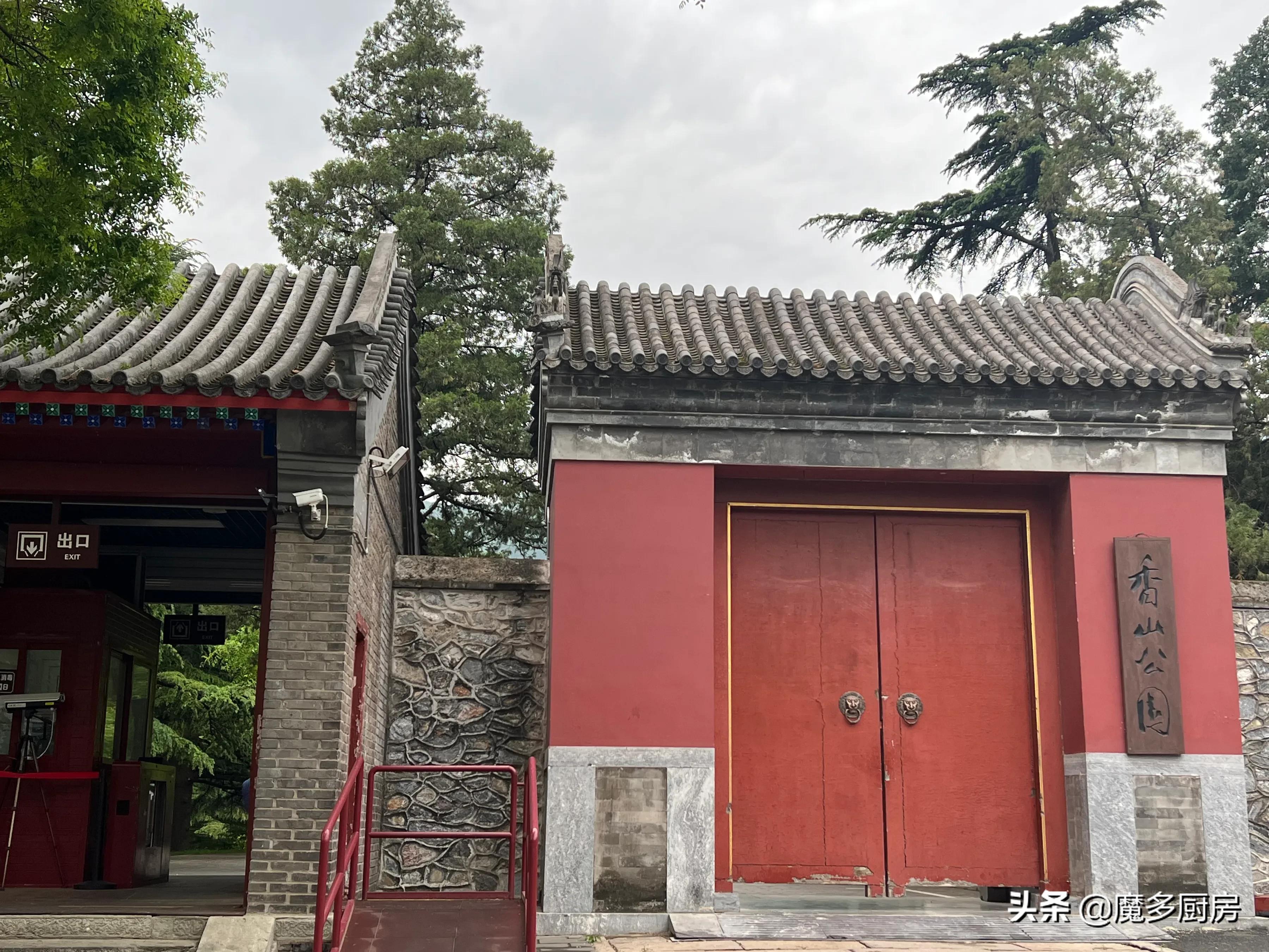 北京香山植物園戶外記錄，帶孩子們雨中山野徒步，感受自然樂趣