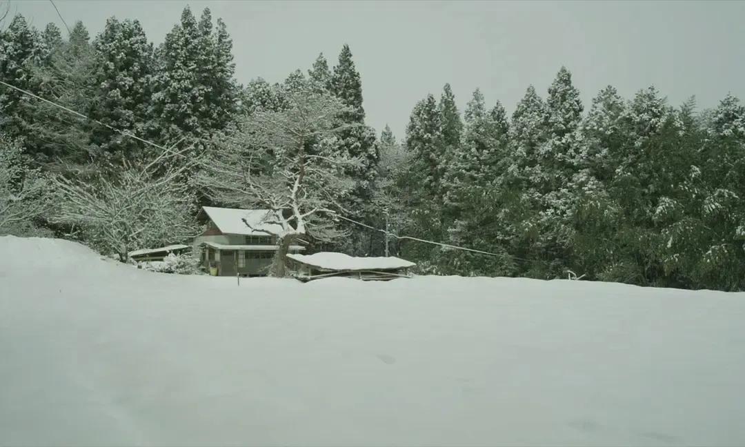 有哪些你认为雪景很美的电影？