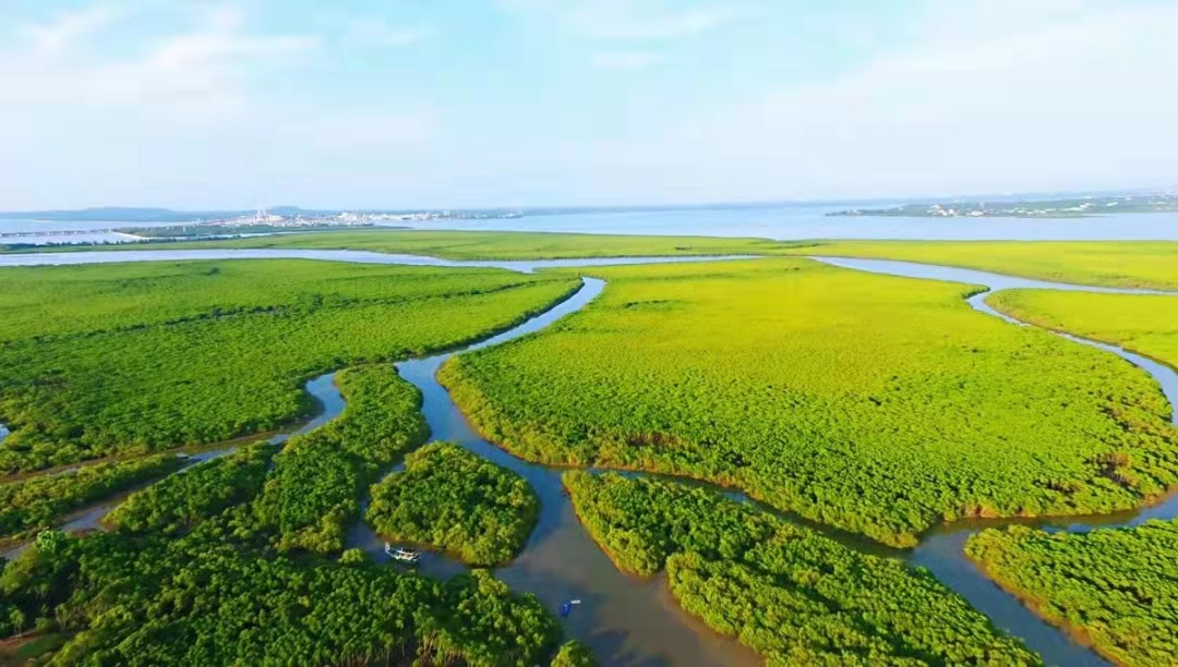 大力倡导海洋生态文明建设 大力倡导海洋生态文明建设