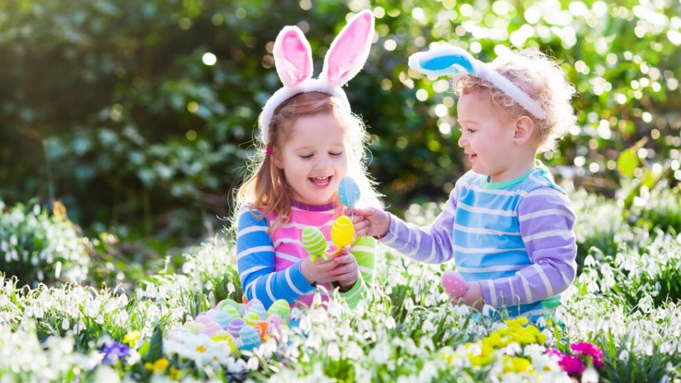 感受春天的美好，看看有哪些最适合春天听的歌曲