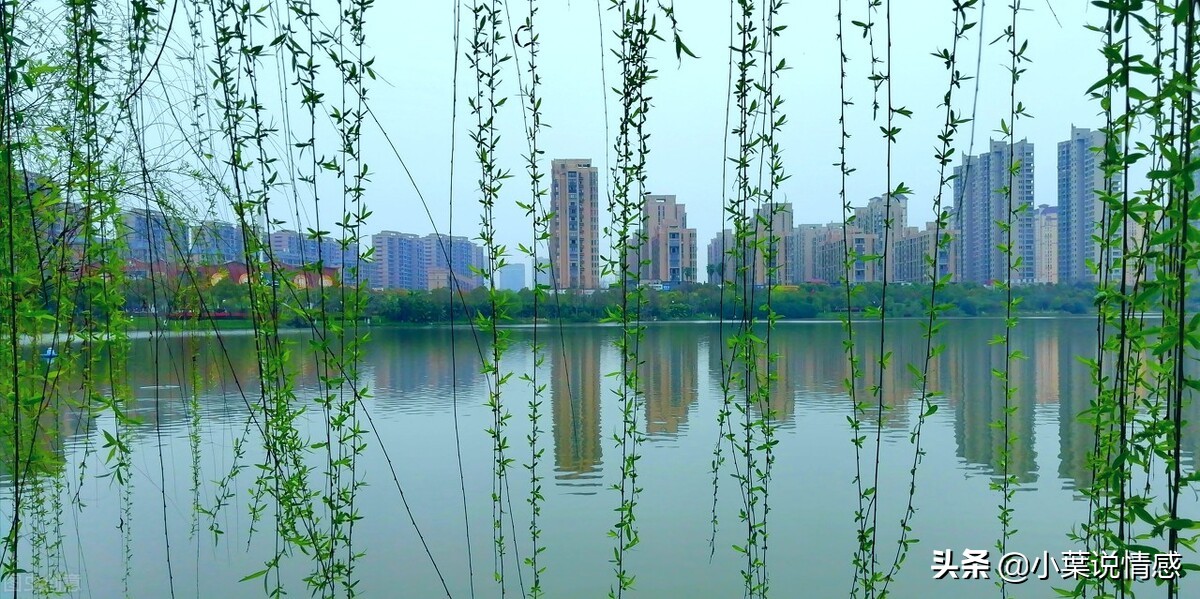 你要知道，爱情是靠自己努力争取的
