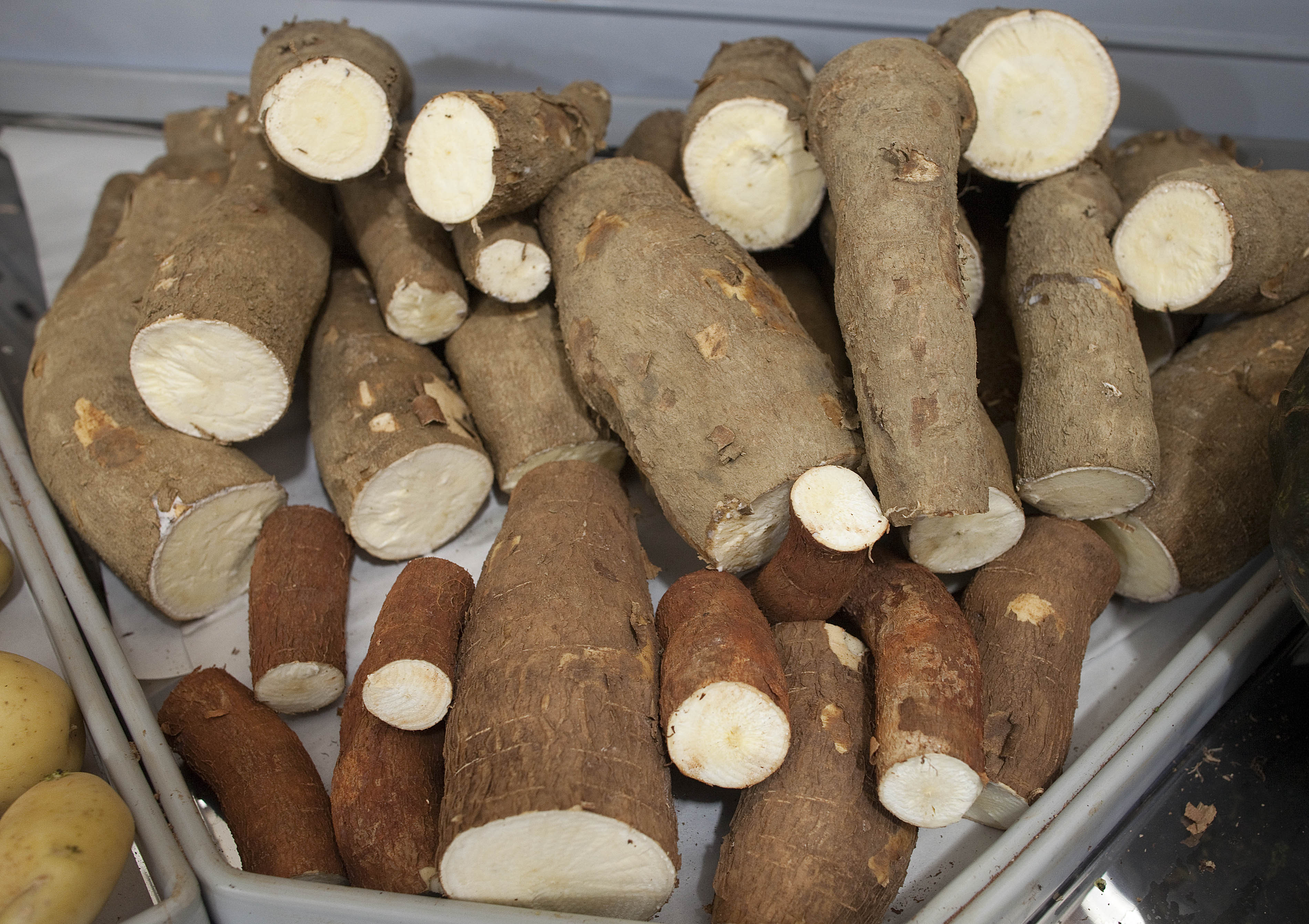 315报道红薯粉条用木薯做)