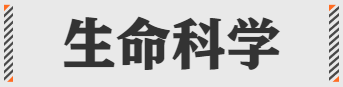 2021互联网职场最新黑话，都在这了