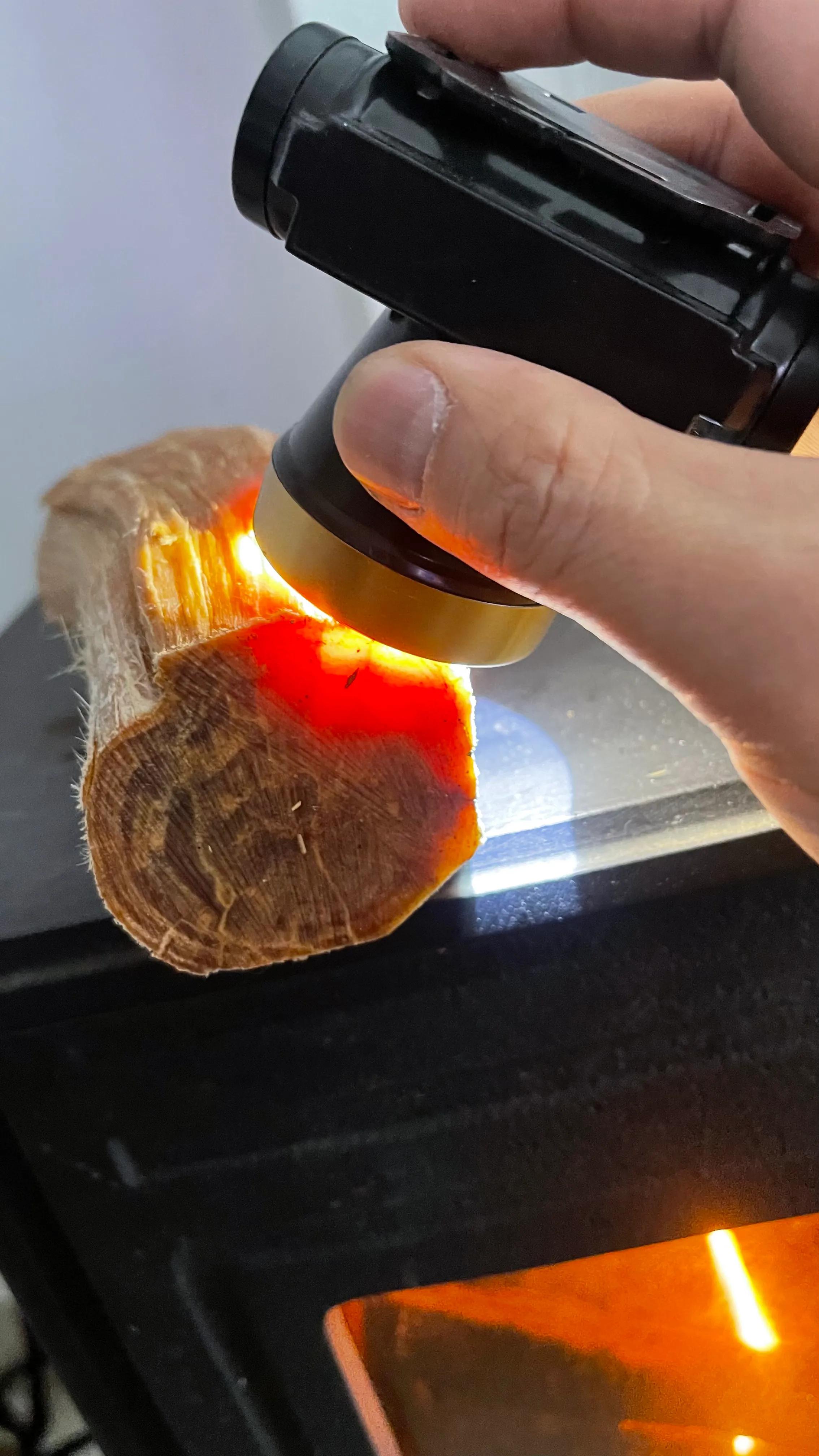 东北琥珀木的危害 -生活知识库-动动脑