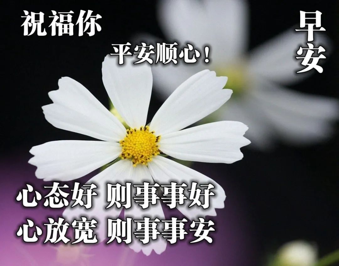 朋友圈早上好祝福语，句句贴心，温暖真诚，新的一天快乐如意图片