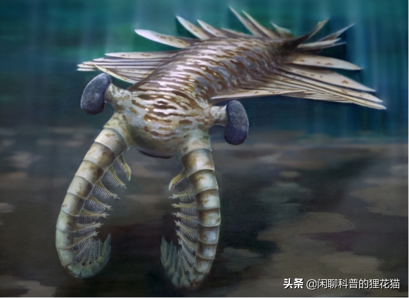 盘点史前海洋十大巨兽，从寒武纪走过始新世，每个时代顶级捕食者