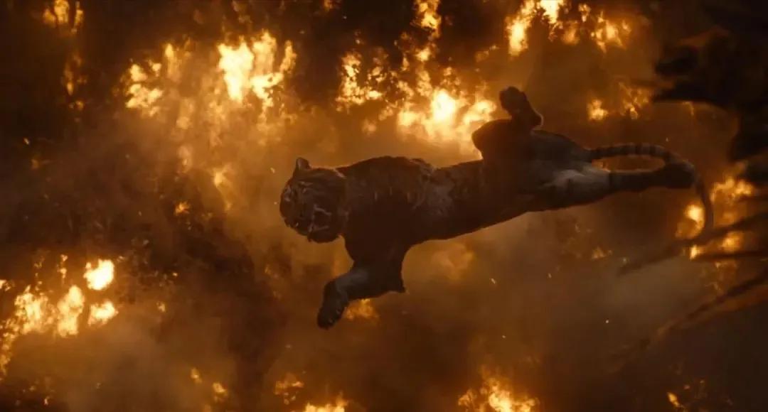 奇幻森林（电影）