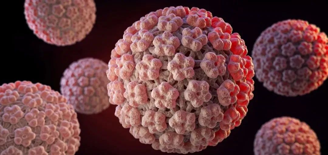 人头乳瘤病毒图片(hpv这么可怕) - 赤虎壹号