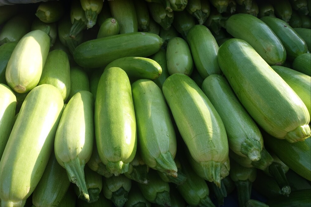 云南小瓜(云南小瓜百度百科)-我的快乐小窝