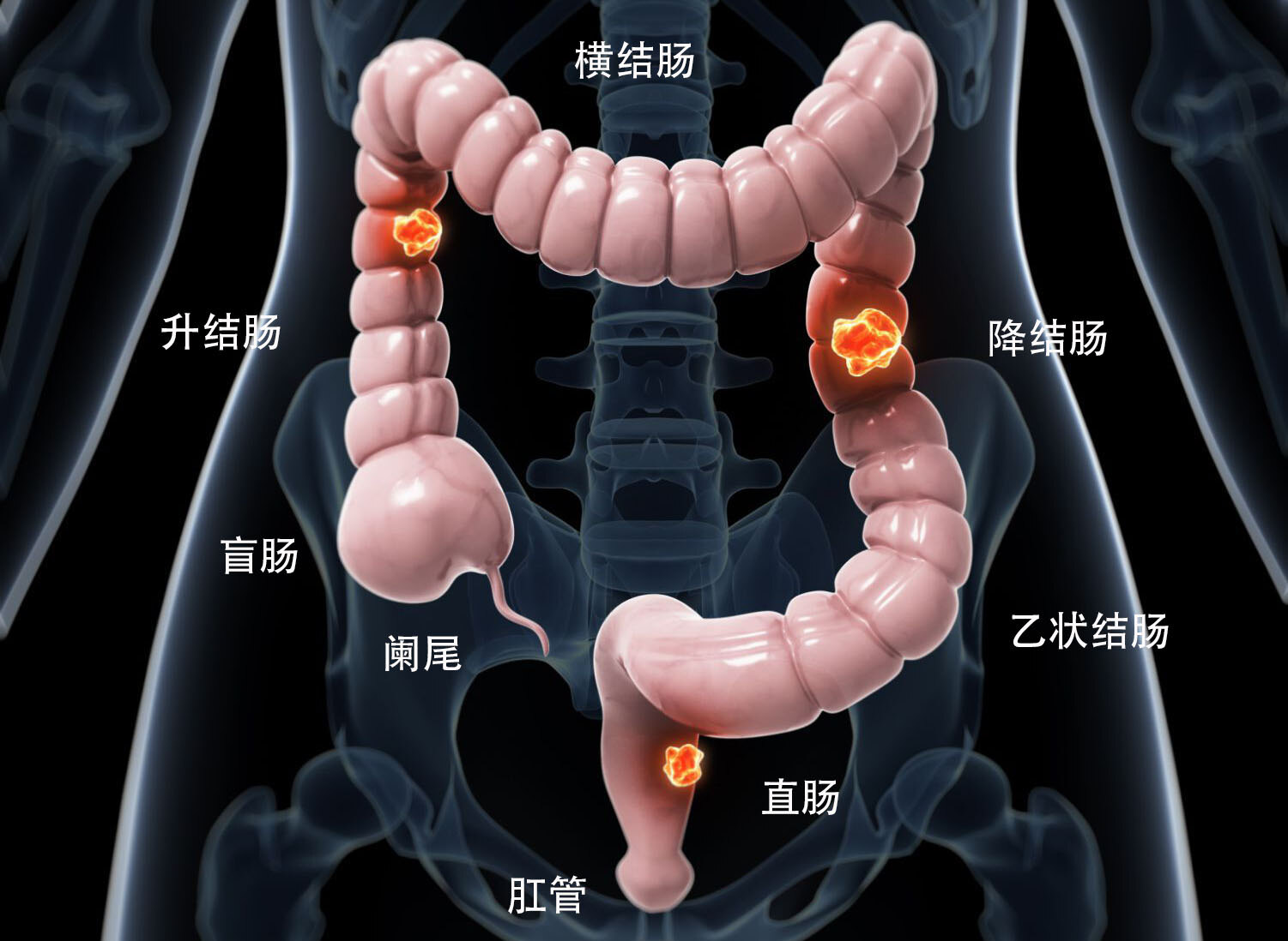为什么有人一喝咖啡就心悸失眠？经常喝会上瘾吗？喝咖啡降血糖？