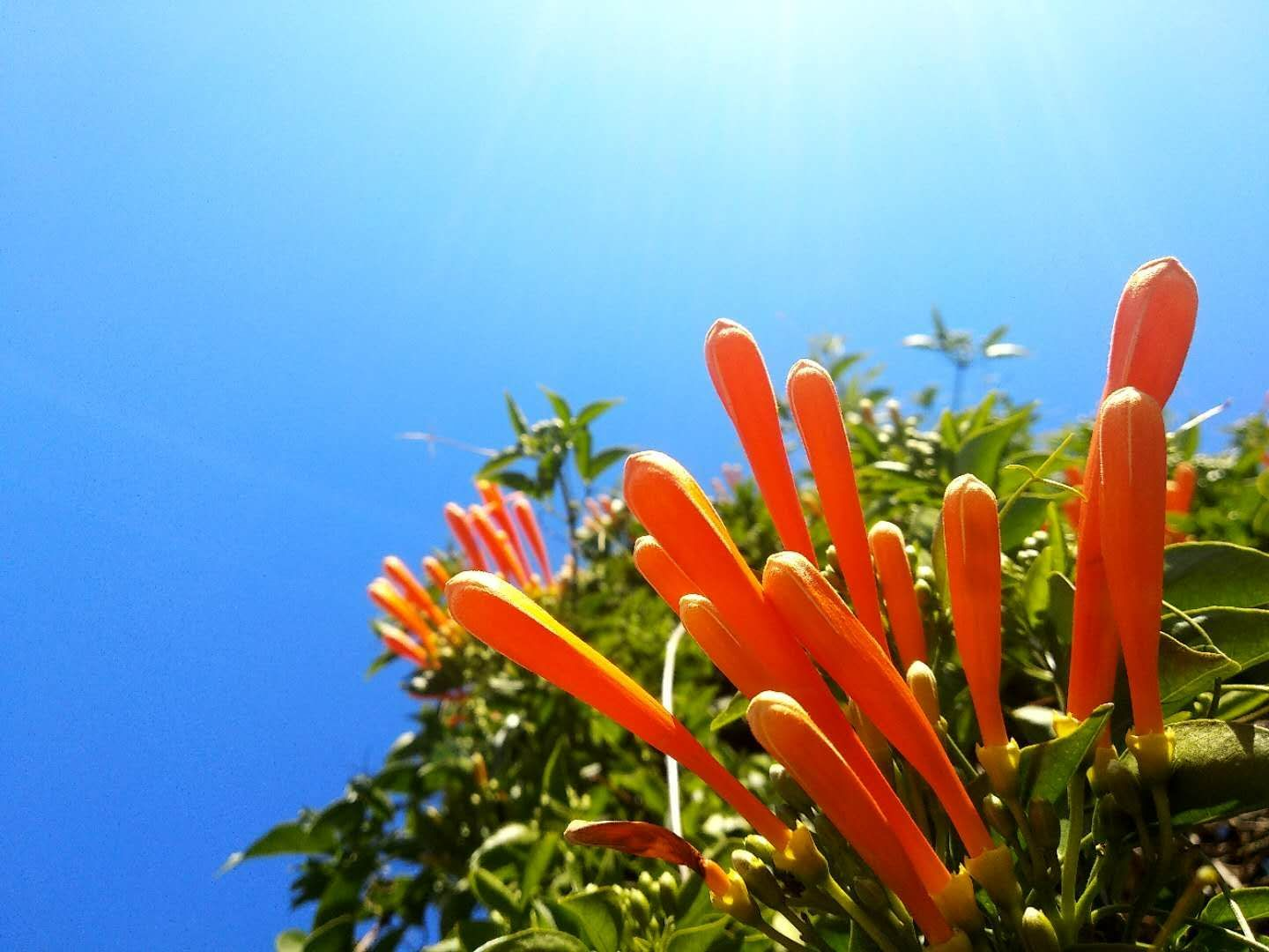 如何让大学生活变得更加充实？