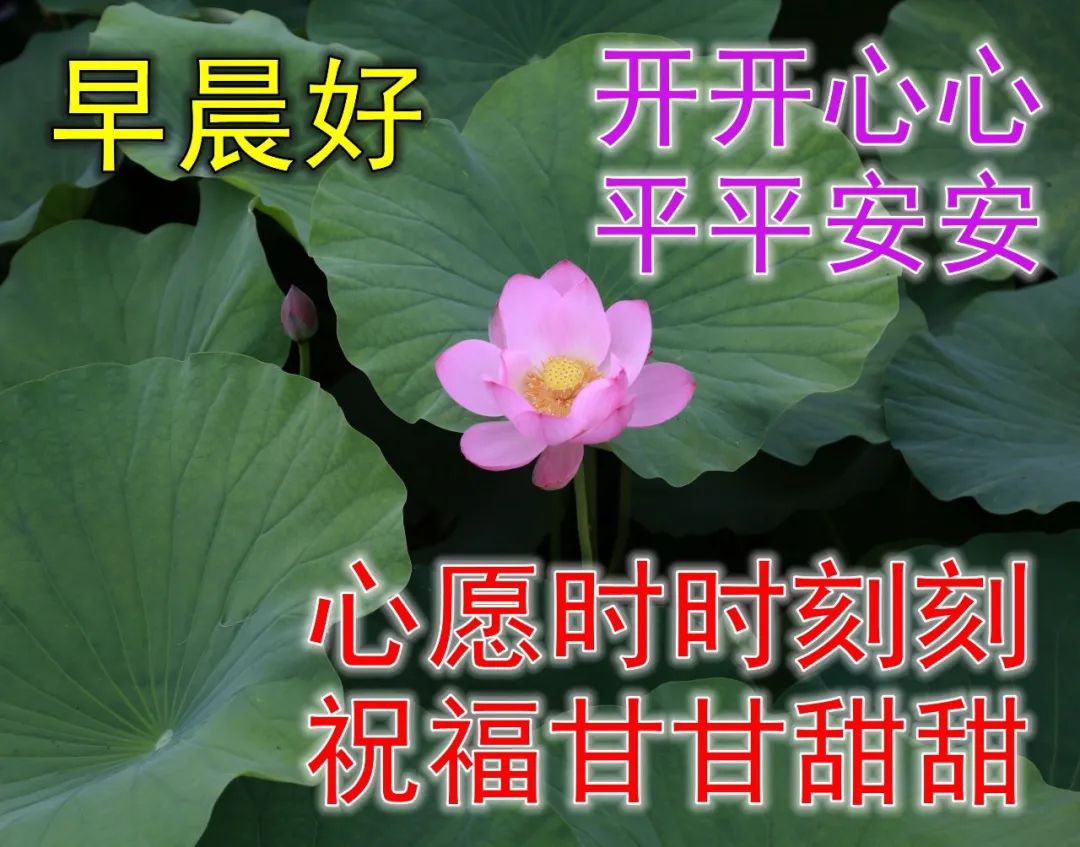 微信朋友圈早上好暖心问候语图片 满满的牵挂，问候送吉祥图片