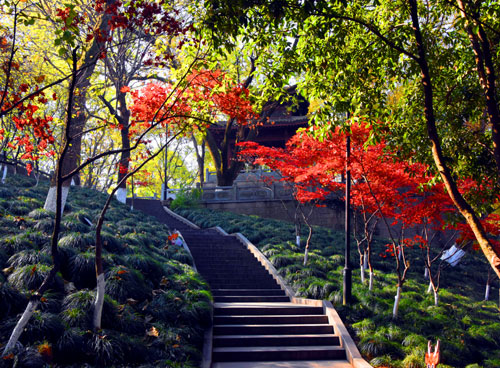 浙江旅游：感受南孔圣地衢州有礼的城市魅力（图）