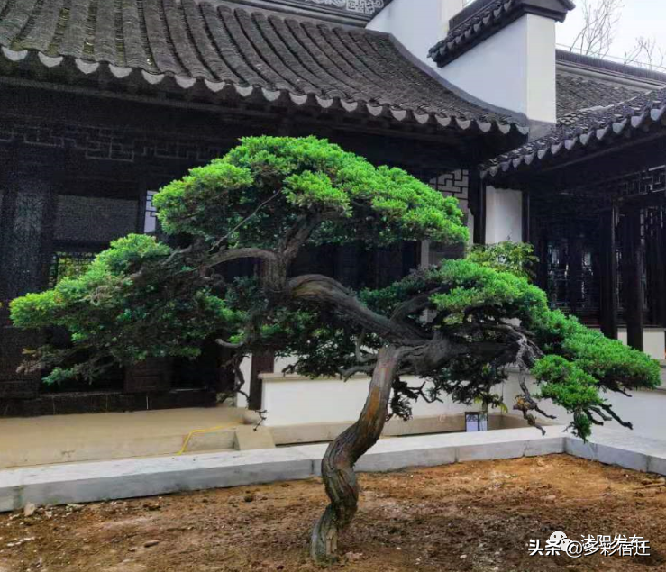 沭阳新河镇双荡村入选全省乡村旅游重点村