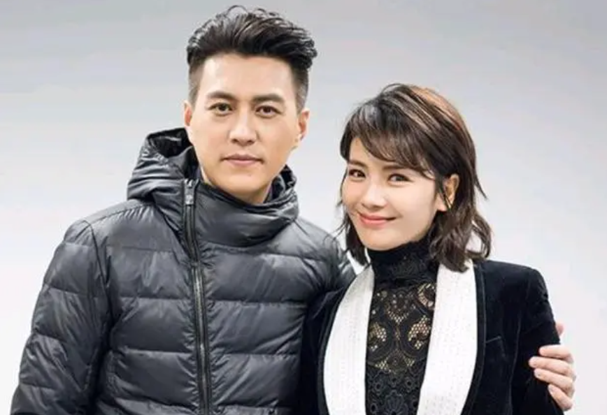 勒东最新电视剧大全靳东5部大剧将播我的前半生2在内谍战剧无间最受