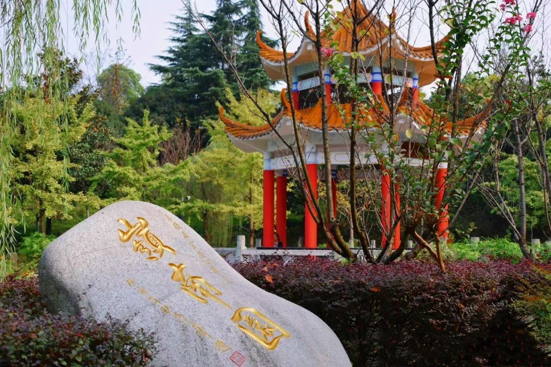 重庆超“有颜”大学！坐拥研究中心“全国唯一”，拥有价值超20万的神仙月季！