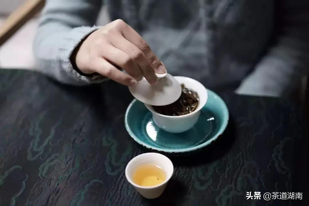 每个月都有新茶！解锁舌尖上的春意