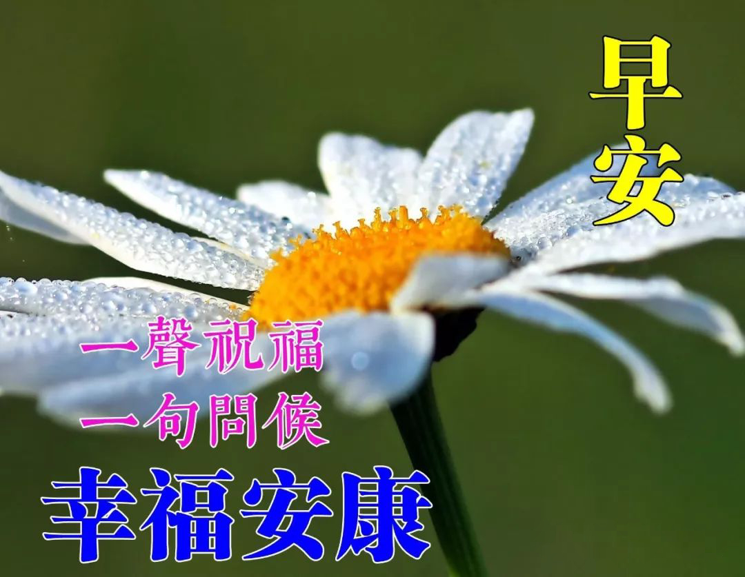 周六更新早上好表情包，秋日渐凉，愿你平安，早安吉祥，幸福安康图片