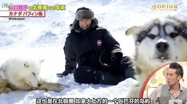 8位日剧爆红女星今昔对比：多人情史复杂，有人离婚后买千万豪宅