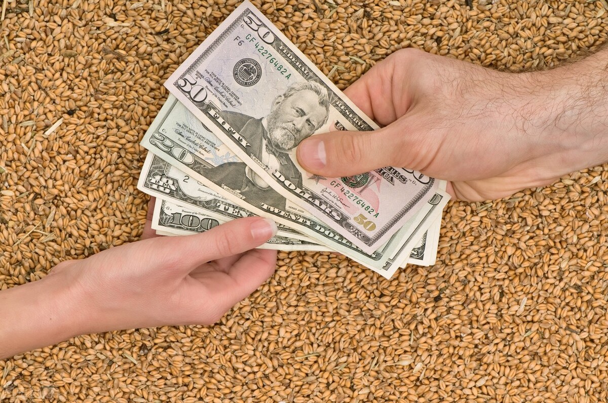 小麦价格再次打破三观，突破历史新高，直奔1.7元，3月2日粮价