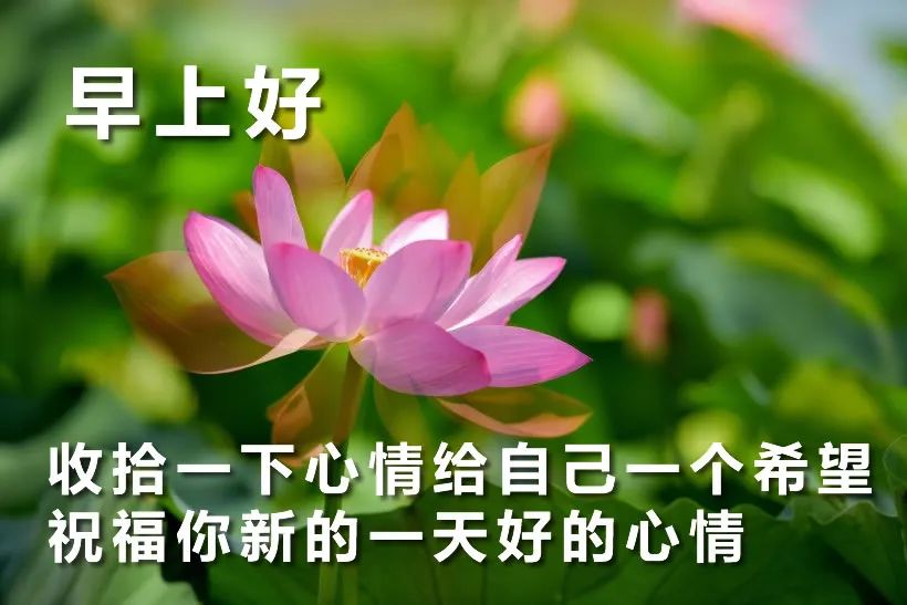 今日份早上好动态表情图片，经典早安问候美图 早安，温暖、好运图片