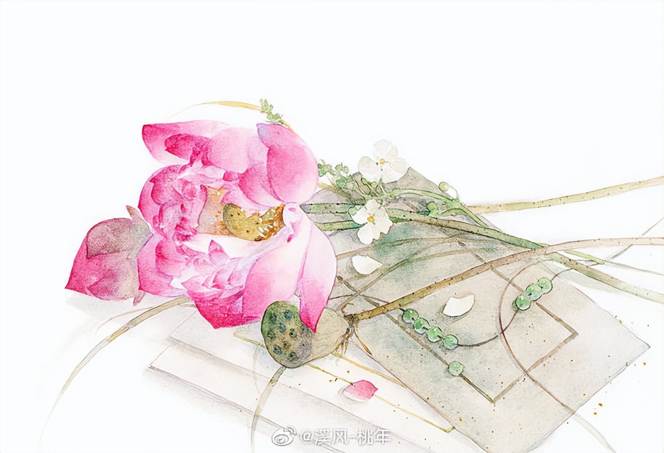 荷风莲香，史上最唯美的60句荷花古诗词（建议收藏）