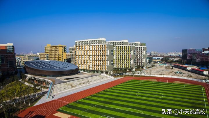 每年只招430人，80%的本科生毕业读研，上科大或是唯一的精英大学